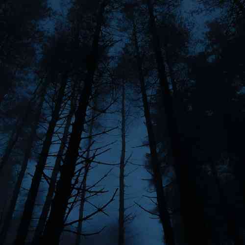  کلافه ام تموم شدیم واسه بار آخر باختم کبود شدم سیاه توو این سالِ آخر